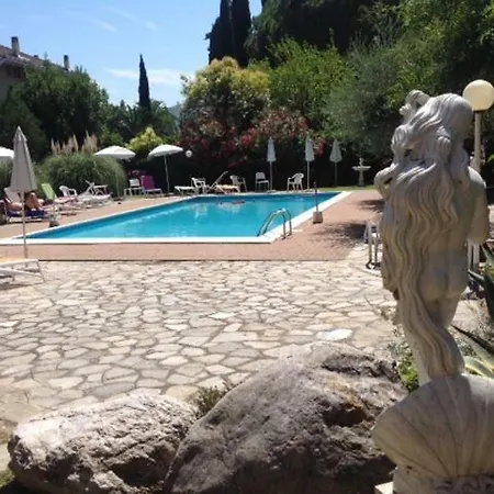 Pool & Garden *
